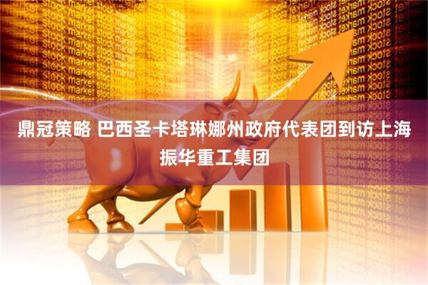 鼎冠策略 巴西圣卡塔琳娜州政府代表团到访上海振华重工集团