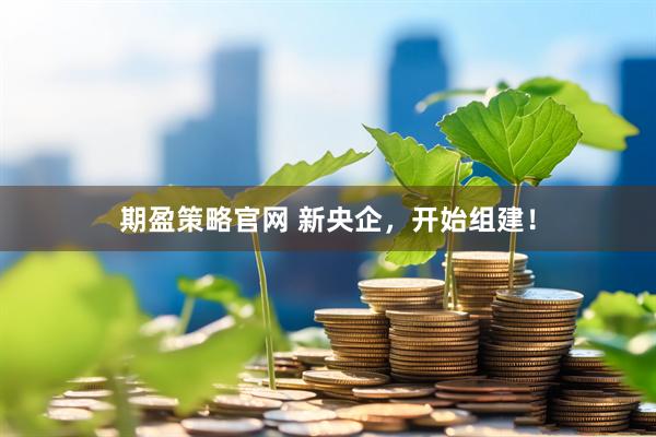 期盈策略官网 新央企，开始组建！